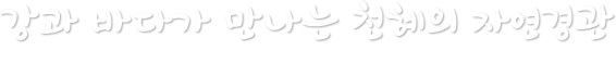 강과 바다가 만나는 천혜의 자연경관 특색있고 매력있는 생태보존, 문화도시의 사하로 놀러오세요